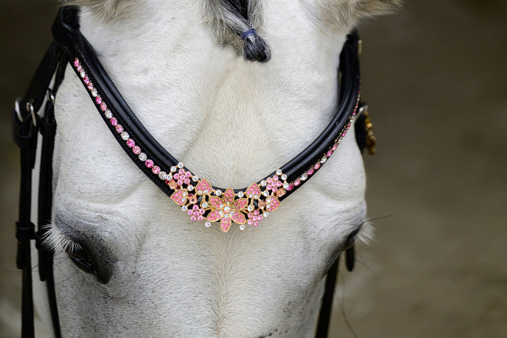 Delary Pink