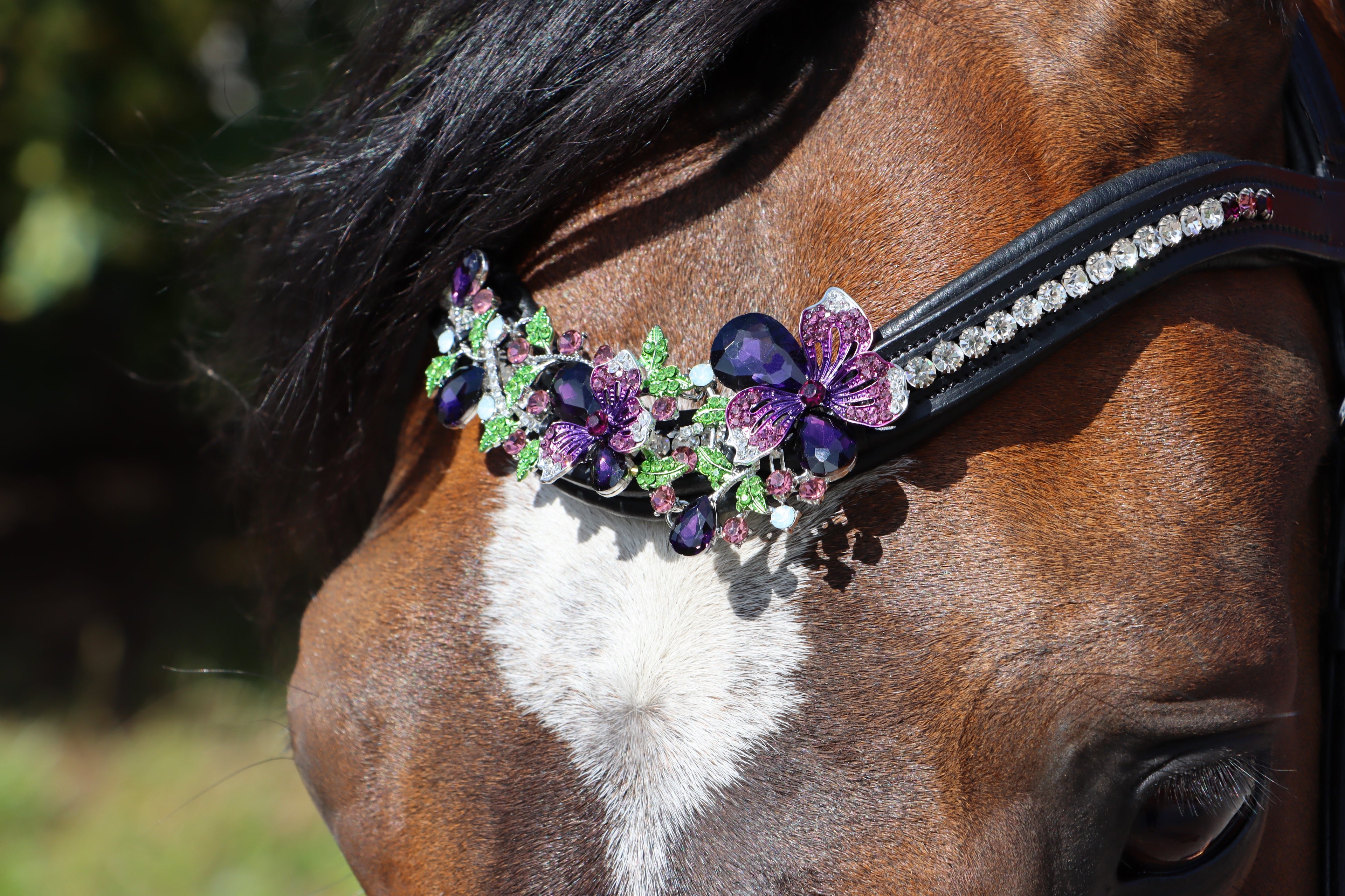 Marma Purple
