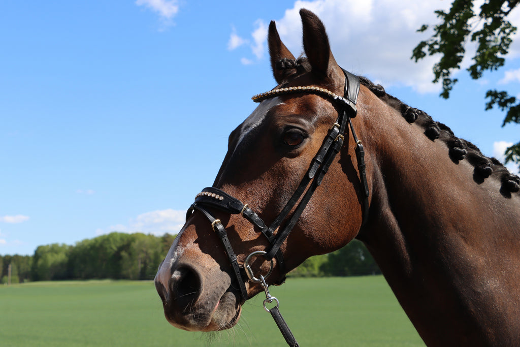 DIVOYH Aachen Gold