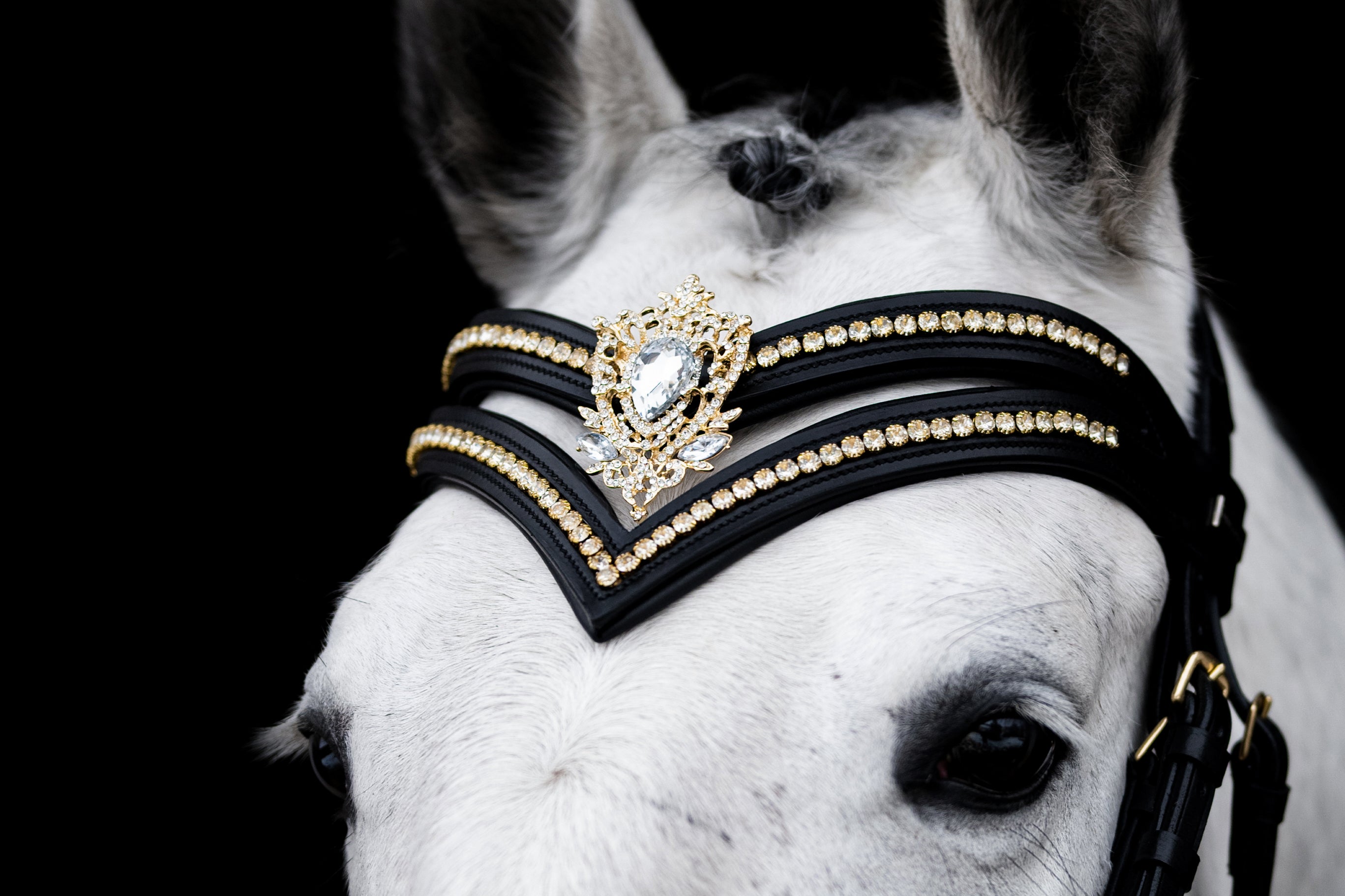 Dorotea Gold